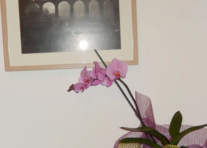 Bella Giulia Bed and Breakfast Ραγκούσα