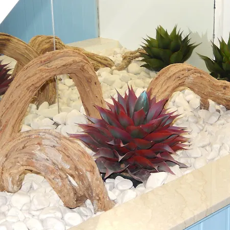 Bella Giulia Bed and Breakfast Ραγκούσα