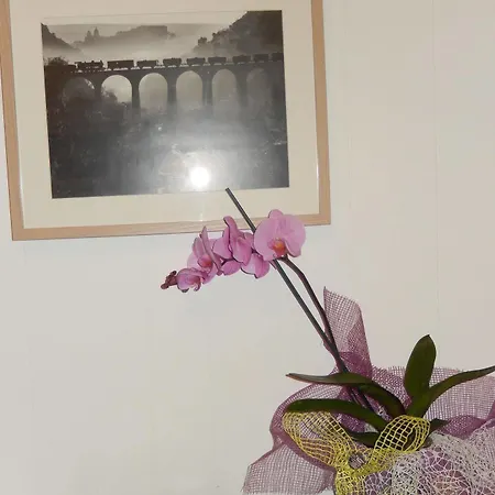 Bed and breakfast Bella Giulia 3*